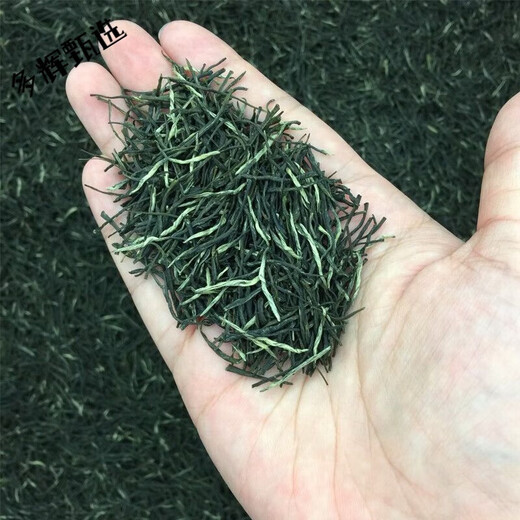 Wei Ting 23 New Tea Xinyang Maojian Green Tea Mingqian High Mountain Tea Young Buds Yunwu Tea Strong Fragrance Handmade Maojian Tea 500 grams is 1 Jin Jin is equal to 0.5 kilograms