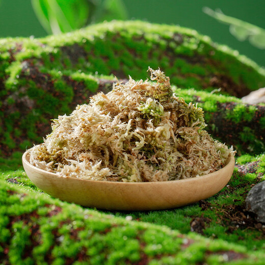 Stanley's special dry sphagnum moss Phalaenopsis special nutritional earth orchid oncidium dry moss climbing pet turtle mat