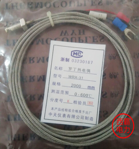 K type E type Roding thermocouple WRX-31 screw M6 type temperature sensor wire length 1M2M3M10 Zhongtian instrument K type/M6 metric fine thread/2 meters