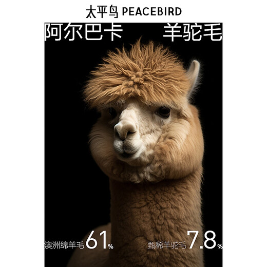 
Peacebird men's clothing [including alpaca wool] stand-up collar woolen coat men's new winter wool woolen coat dark gray first batch S