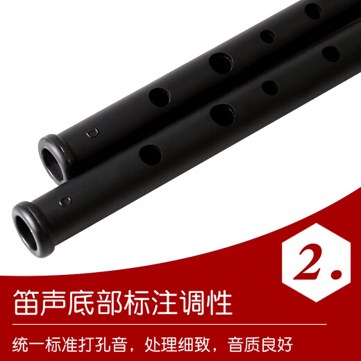 Shanbei Irish Whistle Flötenanfänger für Erwachsene C-D-Einstellung Zinnflöte Mattharz Frosted 6-Loch-Musikinstrument C-D Anpassung + Rich + Lehrbuch