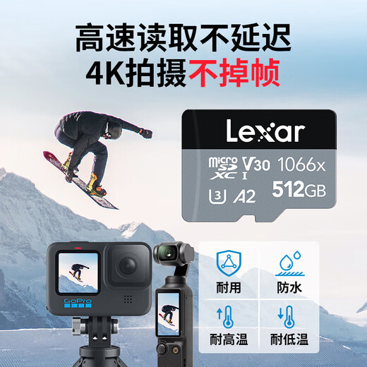 雷克沙（Lexar）TF卡 SDXC UHS-I V30 R160/W120 (1066x) 大疆pocket3内存卡action4/5pro 4K高速存储卡 512GB 送3.0读卡器+卡套+卡盒 