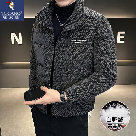 啄木鸟（TUCANO）羽绒服男短款冬季2025新款潮牌立领印花痞帅加厚男士冬装外套男装 咖啡色 L 建议 110-128斤