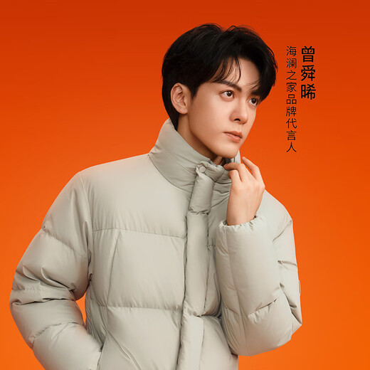 Recommended by the Chairman of Heilan House (HLA) 005 Down Jacket for Men Same Style as Zeng Shunxi Aurora 95 Down Jacket for Men Black 10 L 175/92A Recommended 140-160 Jin Jin is equal to 0.5 kg