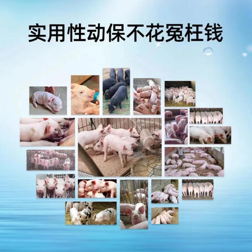 Senaoda giant fast pig feed additive fattening, fattening and fattening, rapid growth pig daily Jin Jin is equal to 0.5kg, piglets grow meat, 1 bag 1000g