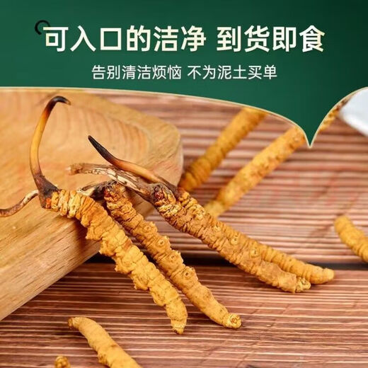 冬虫夏草 藏区虫草1根一克高海拔冬虫夏草礼盒装冬虫草干货送礼佳 2根1克-40根礼盒装