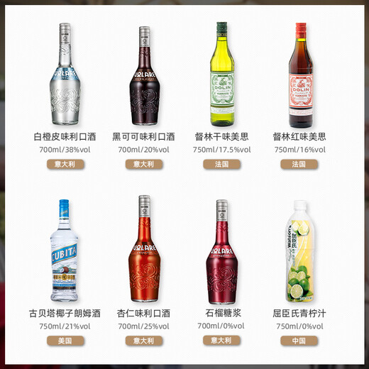 卢布斯基原装进口洋酒自调鸡尾酒套装六大基酒威士忌伏特加朗姆金酒龙舌兰 16瓶调酒套装（含酒具款）