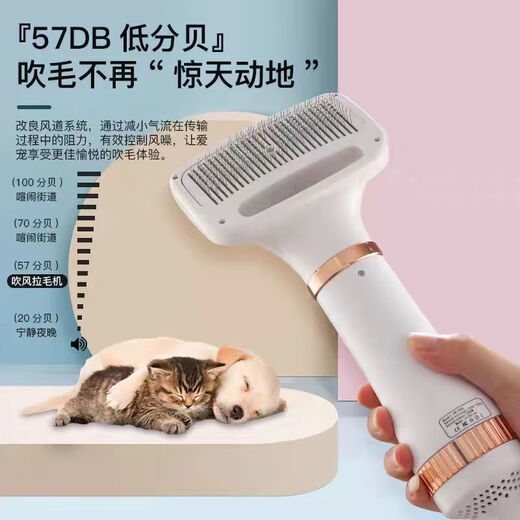 Pet hair dryer, all-in-one quick-drying Bichon Teddy fluffy comb, cat and dog bathing and blow-drying tool, flagship powder, dual-core motor + protective coating + temperature control, twenty-year warranty (millions, pursuit of quality)