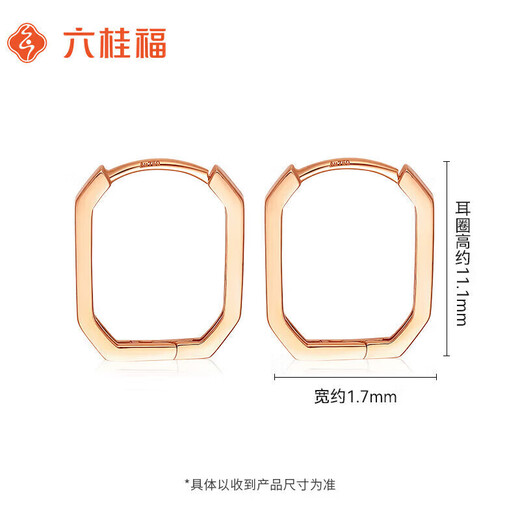Liuguifu Jewelry 18K Rose Gold Stud Earrings Geometric Square Earrings for Women EK0200062