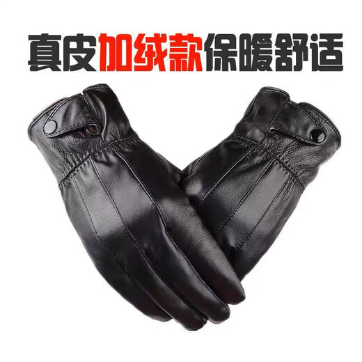 European sheepskin gloves men's velvet thickened genuine leather warm winter riding electric vehicle motorcycle waterproof and windproof gloves pure sheepskin men's buttons one size