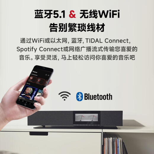 Cambridgeaudio Cambridge Evo One Streaming-Verstärker Audio All-in-One HiFi Audio Home Hifi Bluetooth WiFi Lustless Audio Decoder All-in-One Evo One (JD Logistics Direct)