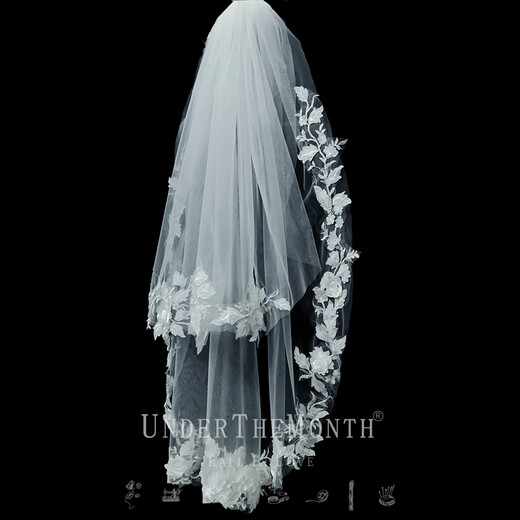 Biyun Bride Wedding Main Wedding Veil Super Fairy Style Photo Studio Shooting Props Double Layer White Simple Lace Veil One layer 70 and one layer 95 plus hair comb 60cm80cm