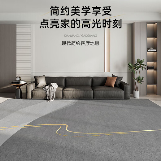 
CERNI German carpet living room new light luxury high-end sofa coffee table blanket gray thickened erasable waterproof carpet Modern 12172 140*200CM