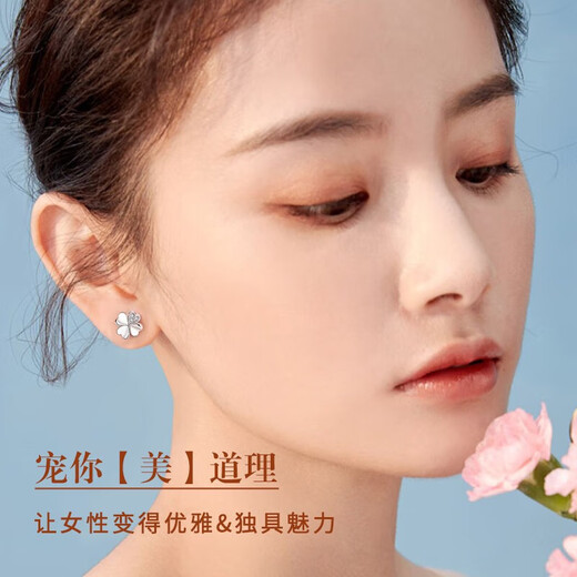 China Gold (CHINA GOLD) Four-leaf clover platinum diamond earrings women's platinum earrings birthday gift for girlfriend and wife wedding anniversary practical gift Jingqida-Platinum four-leaf clover earrings-diamond pricing