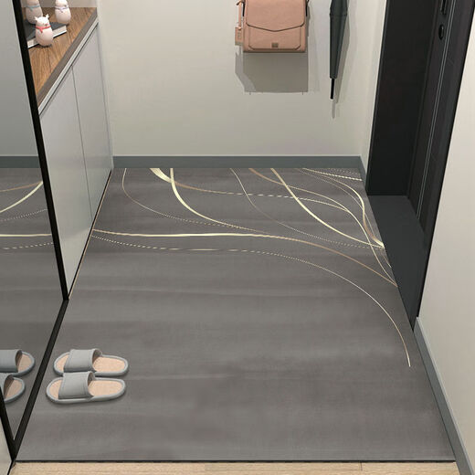 Beiyan entrance floor mat, entrance door mat, door mat, cuttable entrance floor mat, entrance door, water-absorbent anti-slip carpet, light luxury - gray 120cm*180cm