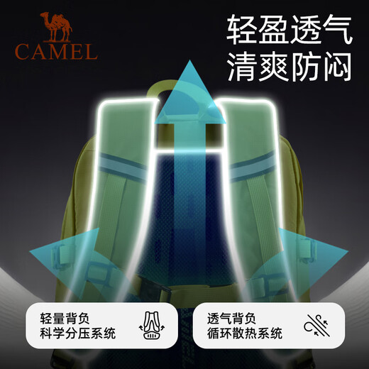 骆驼（CAMEL）云涧户外登山包双肩包运动旅游旅行徒步防泼水爬山骑行休闲书包 574D789650-糖果绿-23L