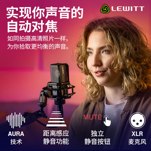 LEWITT RAY live broadcast large diaphragm condenser microphone computer mobile phone universal recording studio equipment anchor LEWITT RAY microphone single product large diaphragm audio equipment