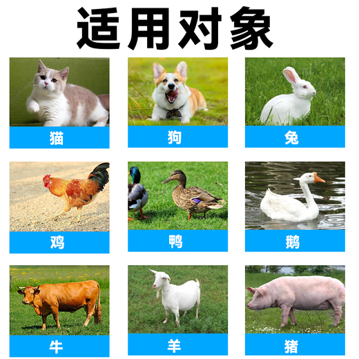 Veterinary insecticide tablets, internal and external anthelmintic medicine for dogs, cats, chickens, ducks, geese, cattle and sheep, general parasite medicine for pregnant animals, eight bottles, buy 5 and get 3 free