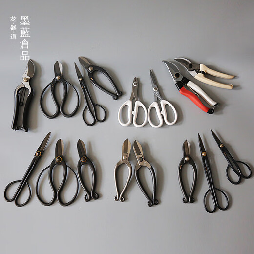 Chifang shears Japanese-style Chinese flower scissors florist composite steel flower arrangement scissors tools household gardening shears pruning lettering Kaneda original leather shears 200mm new style