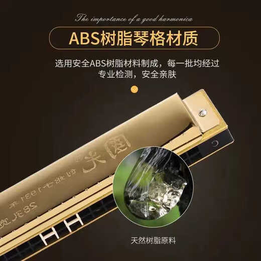 Guguang Shanghai Guguang 28 Estrés armónica Adulto Profesional Desempeño Polyphonic C-Tune Estudiantes Autoestudio Azules Azules Polyphonic + Original Estándar con símbolo fonético