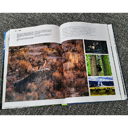 Dangdang Genuine China National Geographic Beautiful Earth World Landscape Photography Album Human Geography Travel Book Set Beautiful Natural Landscape