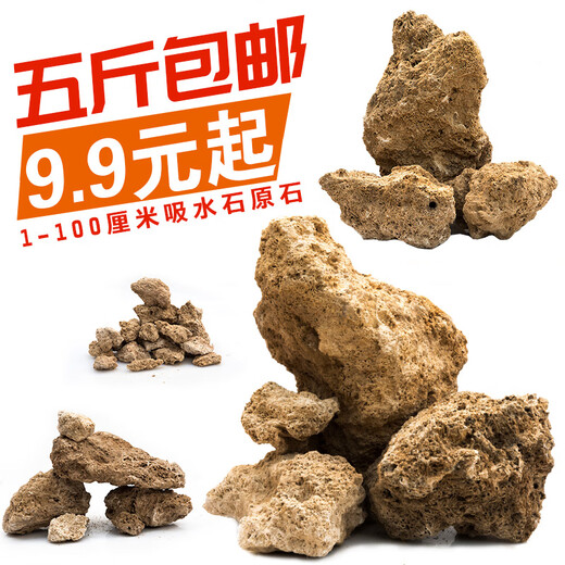 SHXI natural water-absorbing stone raw stone water stone wool gravel stone rockery bonsai micro landscape landscaping small ornaments with stone absorbent stone raw stone 20-25cm10Jin Jin is equal to 0.5 kg