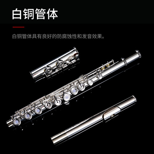 Acacia Bird Flute 16-hole closed-hole dual-purpose adult children beginners playing silver-plated flute instruments for professional performance