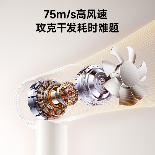 RUAFEE Hair Dryer Home High Speed Plasma Hair Dryer High Power High Wind Hair Dryer Negative Ion Hair Care Low Noise Fast Drying Hair Send Gift National Subsidy Vitality White