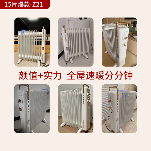 Pioneer (SINGFUN) graphene electric oil heater electric heater electric radiator household 15-piece whole house heating intelligent constant temperature low noise energy-saving drying and humidification DYT-Z21