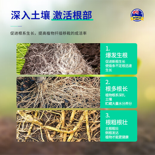 Tang Benchen Green Root Solution Hydroponic Plant Special Nutrient Solution Promotes Growth, Rooting and Strengthening Seedlings Potassium Fulvic Acid Fertilizer 3 bottles (buy 2 get 1 free)