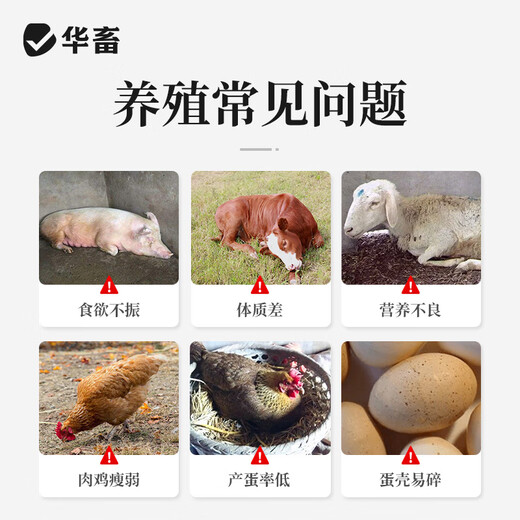 Hua livestock and veterinary baking soda powder feed additive sodium bicarbonate for breeding pigs, cattle, sheep and poultry feed baking soda as low as 39.9/barrel multi-dimensional baking soda total 30Jin Jin is equal to 0.5kg