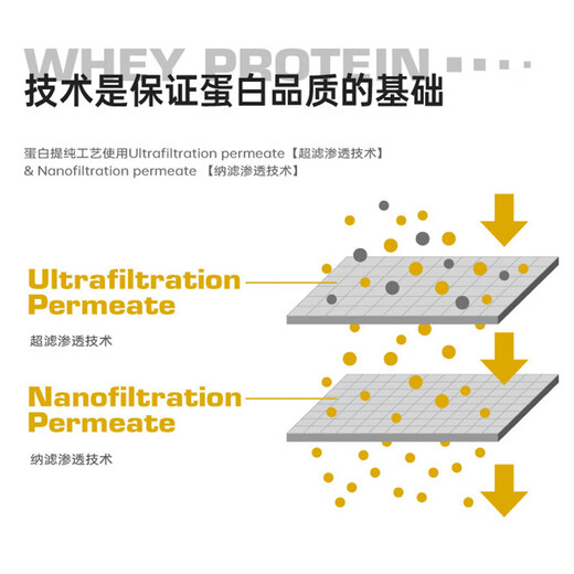 肌肉科技（MUSCLETECH）白金乳清蛋白粉健身增肌粉分离为主5磅牛奶巧克力味北美进口