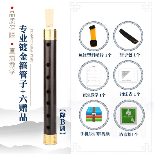 王家彪乌木催泪管子乐器初学者成人笛子管乐民族乐笛演奏民间 降B调 镀金箍管子+6