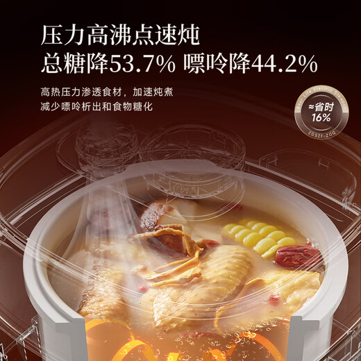 Bear electric stew pot stew pot water-proof stew pot stew pot bird's nest stew pot baby porridge electric stew pot 4.1L household 3-4 people micro-pressure electric stew pot DDZ-J25G2