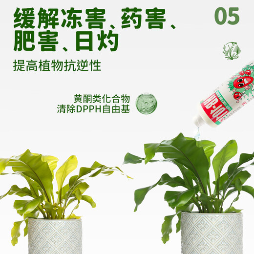 HB-101 plant activator nutrient solution 50ml growth-promoting orchid succulent seedling rooting solution universal for flower cultivation