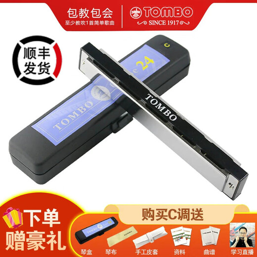 通宝（TOMBO）日本进口音簧6624中高级演奏款24孔复音口琴入门初学成人儿童通用 24孔银色 4调套装-送达贝尔包-请备注调式