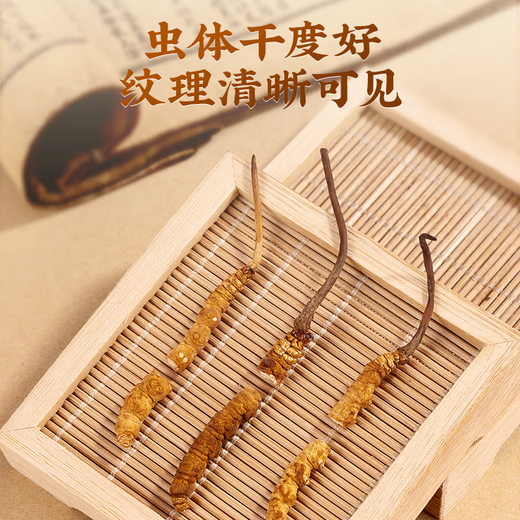 雷允上冬虫夏草  冻干虫草 冬虫夏草精选品质高洁净虫草 送父母送亲友 A32-1g断草