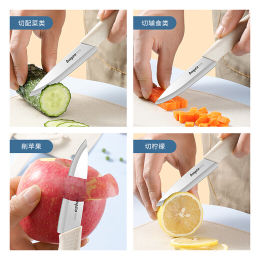 拜格（BAYCO）家用水果刀套装削皮刀防锈便携宿舍两件套 TZ19825