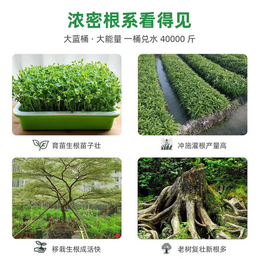 Zhongxiquan Rooting Mother Solution Breathable Rooting Agent Nutrient Solution Organic Fertilizer Fruit Trees Flowers Vegetables Rooting Strong Seedlings White Genduoduo 50Jin Jin is equal to 0.5kg *2 barrels delivered to villages and towns