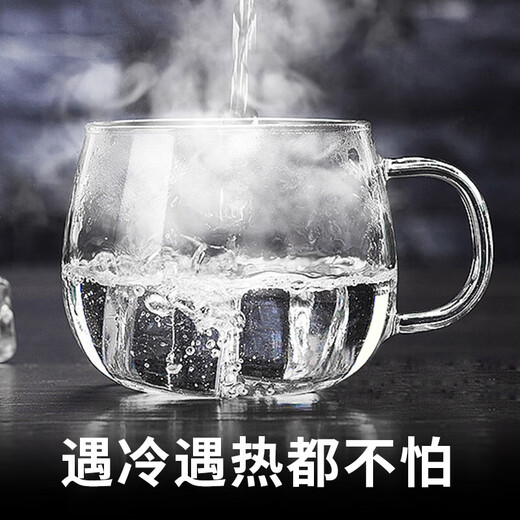 Fuguang flower tea cup, tea and water separation cup for men and women, double-layer office tea glass cup with handle, high borosilicate water cup