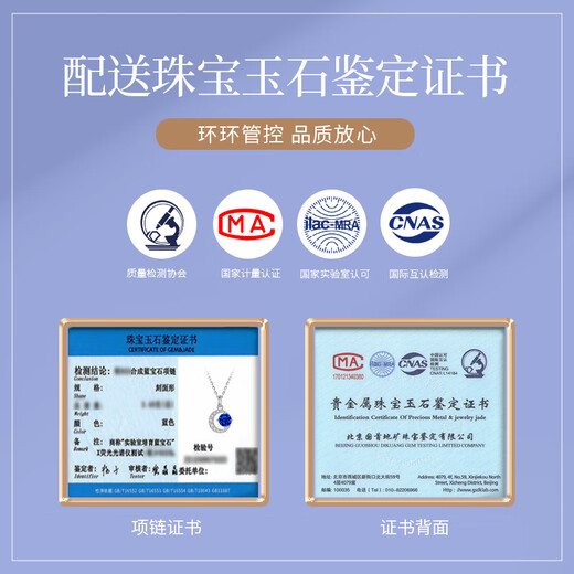 The only (Winy) sterling silver necklace, women's pendant, birthday and Valentine's Day gift for girlfriend and wife, silver jewelry, light luxury niche