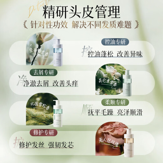 Granos coreanos Control de aceite duradero Champú de champú Pell Anti-Dandruff Anti-Icti aminoácidos sin pomado sin silicona para hombres y mujeres, No. 1
