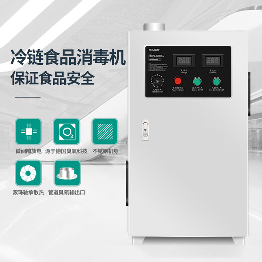 Feili duct type ozone generator central air conditioning fully automatic control ozone disinfection machine equipment food factory industrial clean workshop sterilization and deodorization 8100F 100g ozone 1000