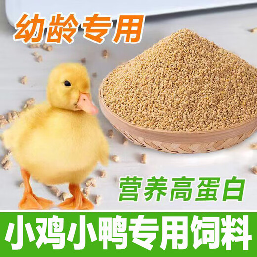 OUOETY small duck feed for ducks, special pet bird, small yellow duck, goose and chick, food feed for ducklings, medium and large duck feed 2Jin Jin is equal to 0.5kg (coarse particles)