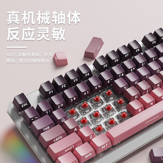 前行者（EWEADN）TK870无线蓝牙机械键盘鼠标套装有线三模可选黑莓侧刻高颜值客制化办公游戏电脑笔记本平板iPad用 银白正刻87键白光【有线键盘】 茶轴【办公码字】