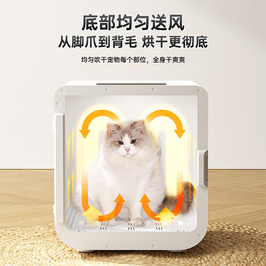 Hot sale pet drying box dryer cat home small silent cat bath automatic hair drying 65L pet smart drying box
