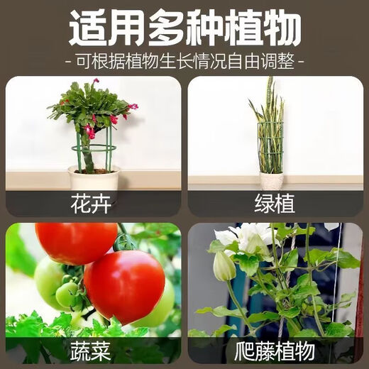 勤凯花架子室内家用支架通用型蟹爪兰花架莲花护叶架园艺盆栽支撑杆AS 【升级加粗+植物通用】 拍一发十【60根】到手十层
