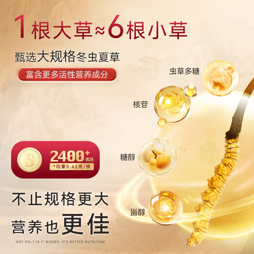 东阳光冬虫夏草2-3根/g50g约125根滋补礼盒冬虫草营养品补品送长辈老人