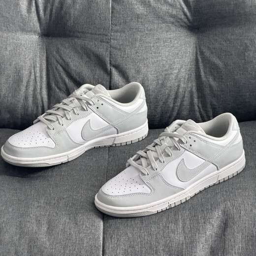 耐克（NIKE）Dunk Low Retro 男子白灰运动鞋复古板鞋 DD1391-103 灰白 42