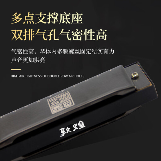 敦煌 盘古臻艺 10孔布鲁斯口琴 DN10 黑色 C调 初学推荐	